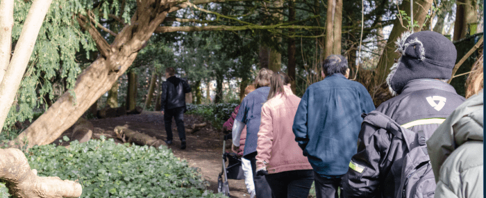 Image of people walking through a woodland